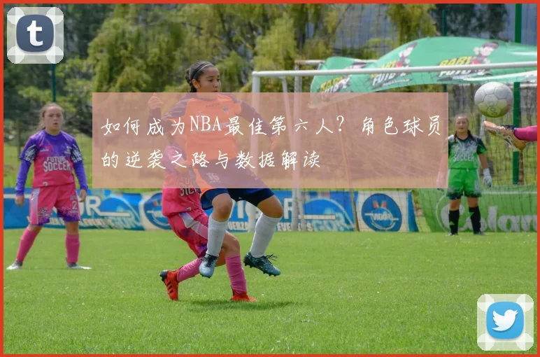 如何成为NBA最佳第六人？角色球员的逆袭之路与数据解读