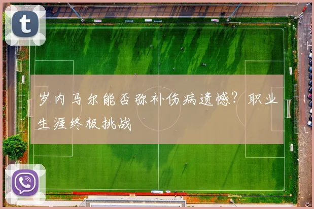 岁内马尔能否弥补伤病遗憾?职业生涯终极挑战