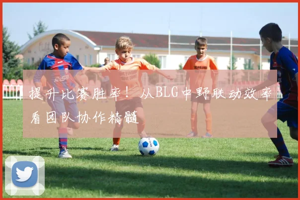 提升比赛胜率!从BLG中野联动效率看团队协作精髓